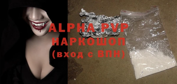 молекула духа Пересвет