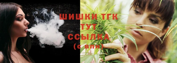 молекула духа Пересвет