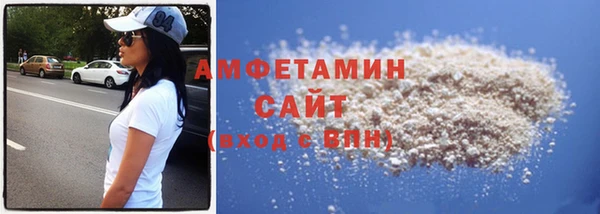 гашик Пестово