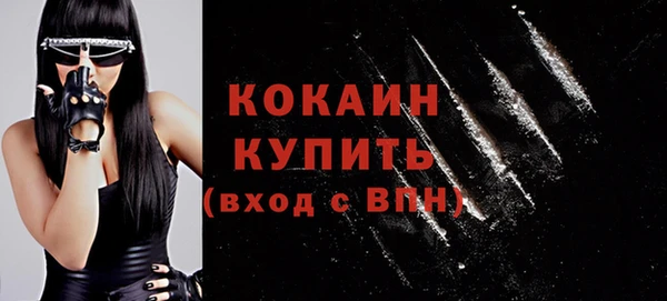 сатива Осинники