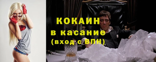 гашик Пестово