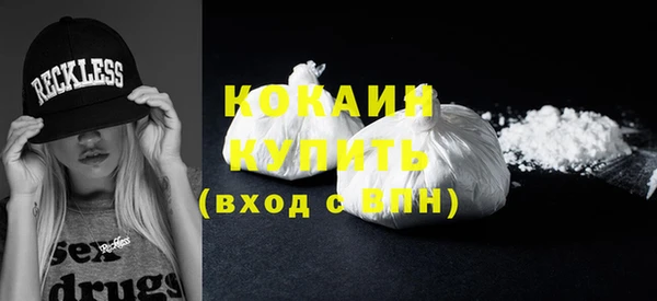 молекула духа Пересвет