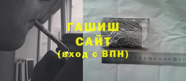 гашик Пестово
