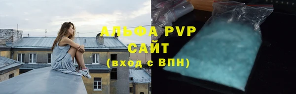 гашик Пестово
