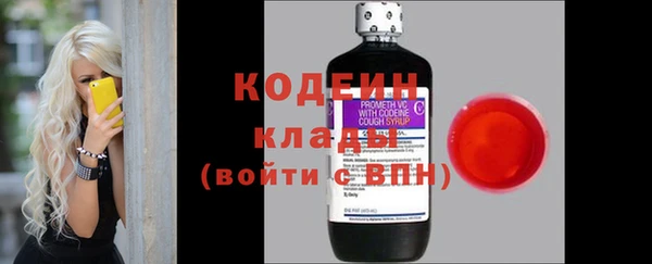 молекула духа Пересвет