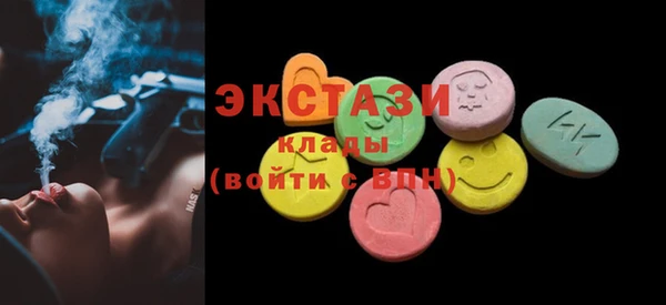 гашик Пестово