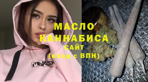 гашик Пестово