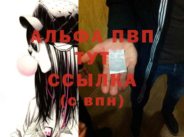 сатива Осинники