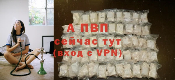мяу мяу кристалл Переславль-Залесский