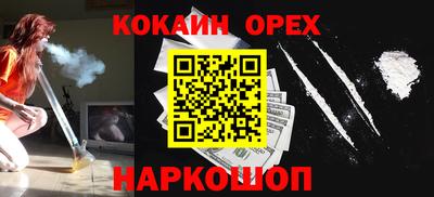 гашик Моздок