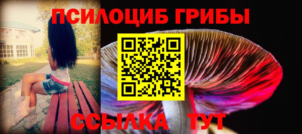 наркошоп  Вход с VPN  Юрга  Галлюциногенные грибы GOLDEN TEACHER  Галлюциногенные грибы Magic Shrooms 
