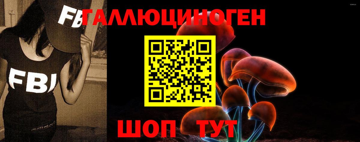 Галлюциногенные грибы Magic Shrooms Юрга