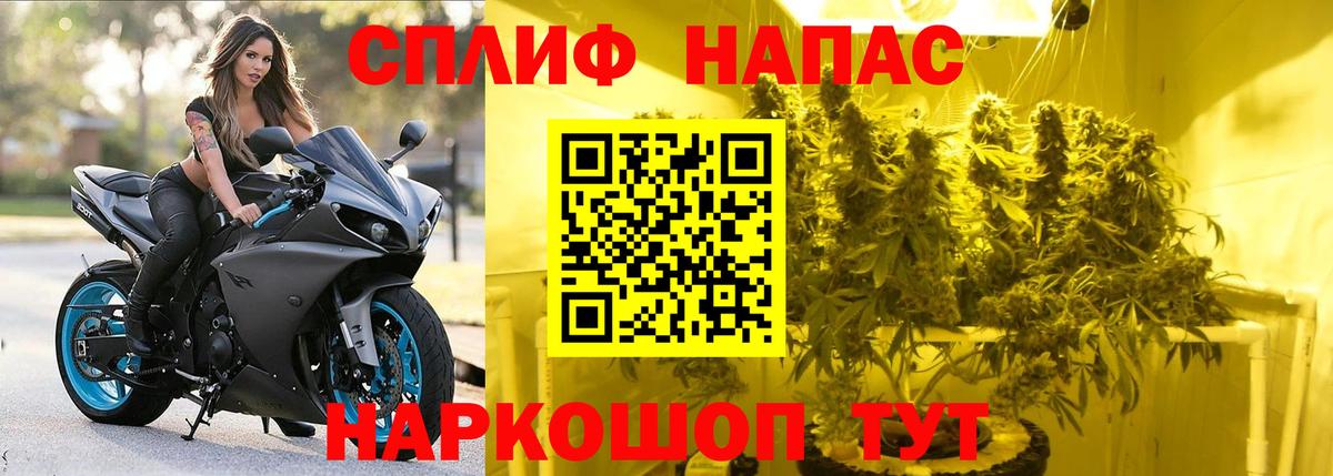 Юрга  Каннабис индика  Вход с VPN  Конопля конопля  Марихуана тримм 